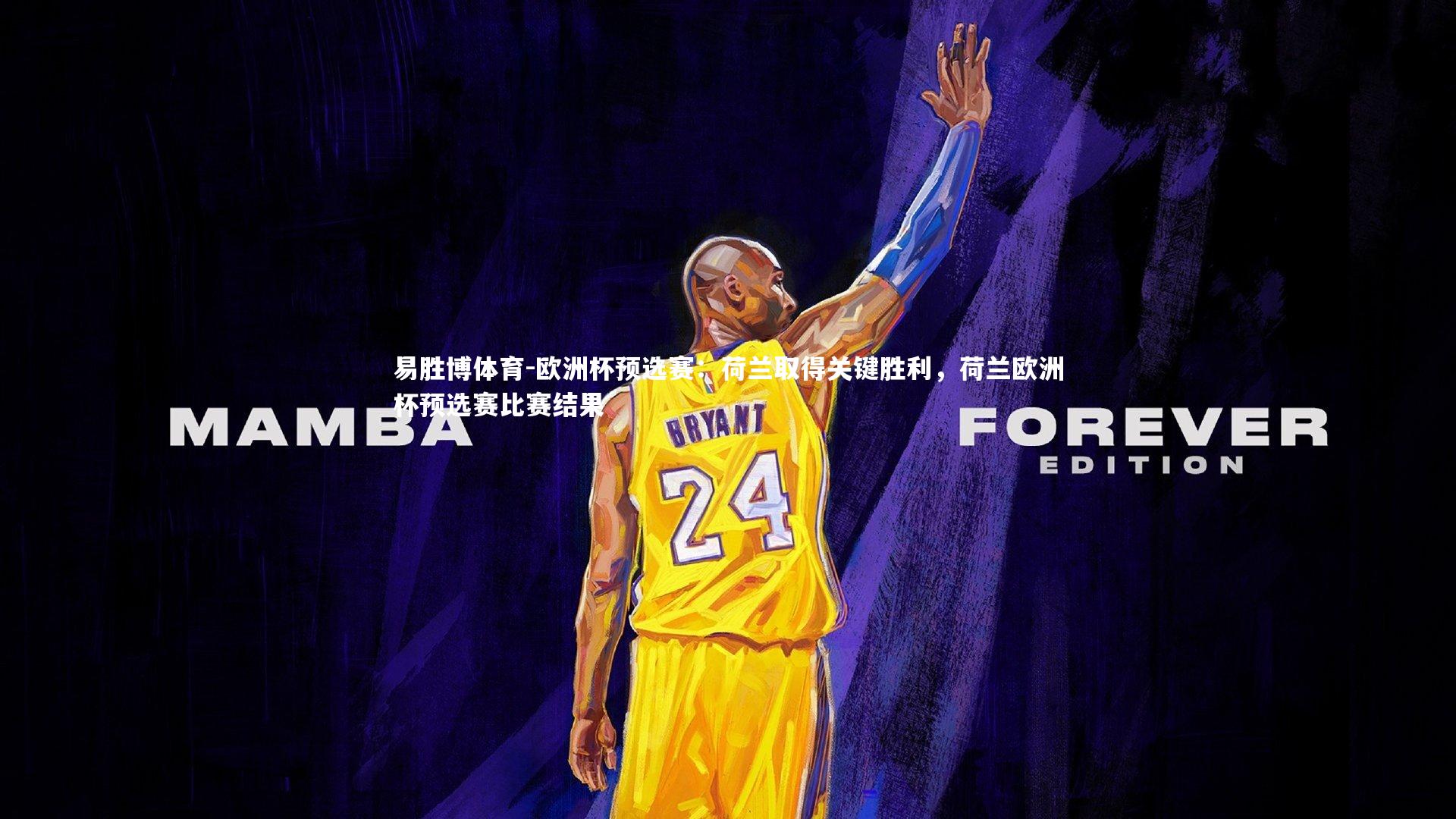 欧洲杯预选赛：荷兰取得关键胜利，荷兰欧洲杯预选赛比赛结果