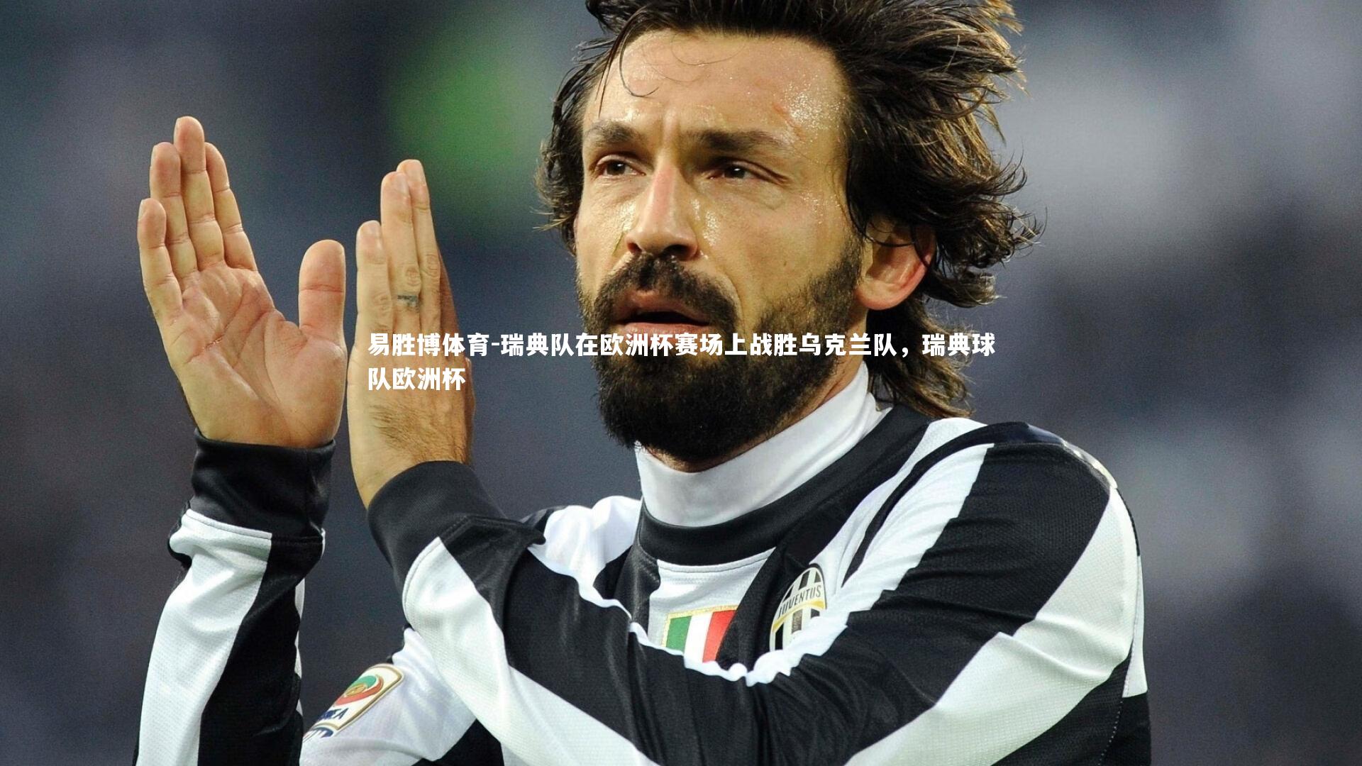 瑞典队在欧洲杯赛场上战胜乌克兰队，瑞典球队欧洲杯