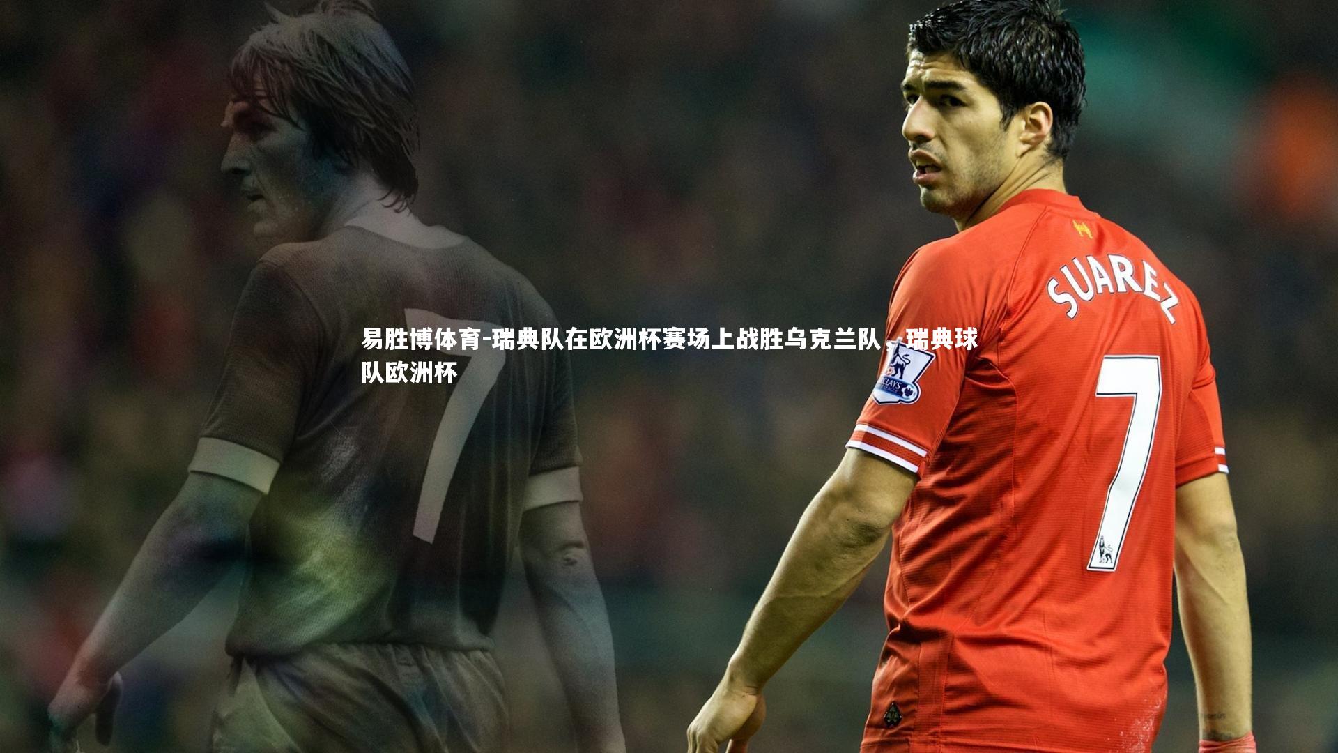 瑞典队在欧洲杯赛场上战胜乌克兰队，瑞典球队欧洲杯